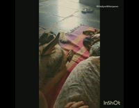 Dog lie down growl loud owner sew