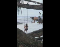Collab Kook Of The Day - Guy hangs off tree to photograph girl