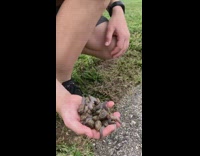 Boy picks up snail adds to collection