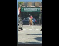 Red shirt guy rides brown horse street