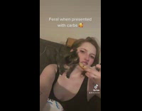 Small kitten tries to steal bagel from owner