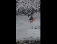 Red Helmet Kayak Slides Down Snow Hill Into Tree