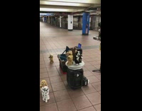 Guy with dancing animal dolls plays pt. 2 