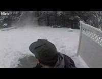 Dog almost got hit by falling branch