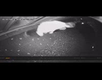 Guy trips over planter outside in dark