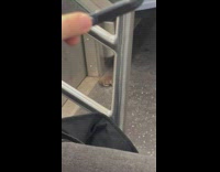Huge rat crawl on floor subway train