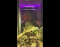 Collab BitchMP - Phone on fish tank fish bumps it onto floor 