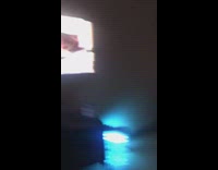 Collab KaleSaladIG - Whit cat arches back and watches cats on TV screen