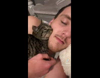 Small kitten sleeping on guys face 