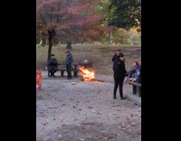 Collab WINY - Logs burned to heat up kettle park