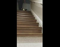 Black white rabbit run down stairs loud