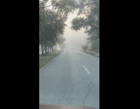 Street covered in thin fog in the morning