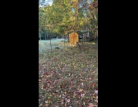 Single leaf caught on thread of spider silk