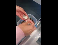 Collab ClipsIG - Woman pays ice cream with collected coins