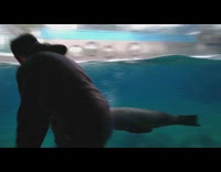 Guy hold plastic chased by seal aquarium
