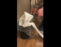 Cat picks up toilet paper mess floor