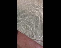 Woman gives stingray high fives 