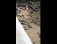 Girl poses on beach shore black rocks