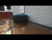 Alexa echo dot says a huge number