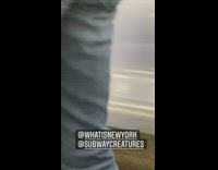 small roach on subway seat people avoid