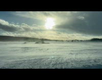 Man films field of snow 