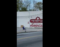 Brown white dog sits white wall leash