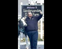 Man in a black hoodie poses with a cow statue