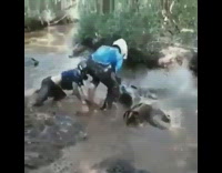 Guy rides motorbike into river, front flips and scorpions in water