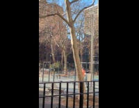 Guy orange jacket works out under sun