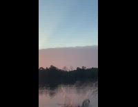 Guy backflips off ramp and falls in lake water