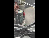 Woman hit man cockroach costume electric fly swatter