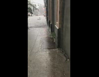 Sidewalk is flooded from heavy rain