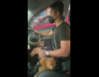 Guy pretends to shift gears using cats head