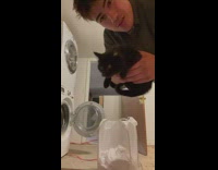 Guy makes cat do laundry because it peed on bed