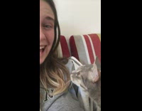 Collab Clips mpugc - Girl meows and talks to her cat