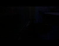 Time lapse venus flytrap plant grows 