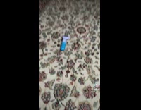 Purple blue lint shaver put on carpet runs into wall