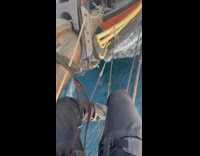 Sailor sits above dolphins swimming 