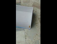 Albino cockroach inside the blue shoe box