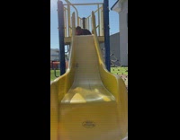 Fluffy dog goes down slide 