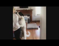 Black white dog dances conga line girl