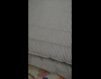 White kitten cat under grey striped blanket 