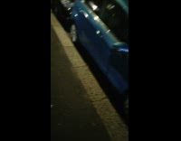 Parked cars have license plates stolen 