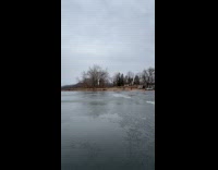Man feeds bald eagle while ice fishing