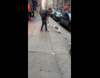 Random man cleans sidewalk using vacuum cleaner