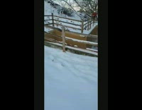 Guy skis on wooden gate rail over alley, misses roof and falls down crevice