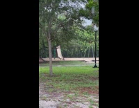 Children Take on a Slide then Runs