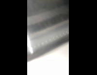 Submitter knocks window to chase away opossum