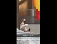 Bald woman fur coat sit stairs pictorial