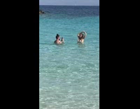 Woman in white bikini poses in the beach ocean